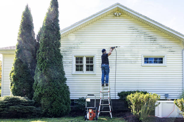 Best Roof Pressure Washing  in Spring Hill, TN