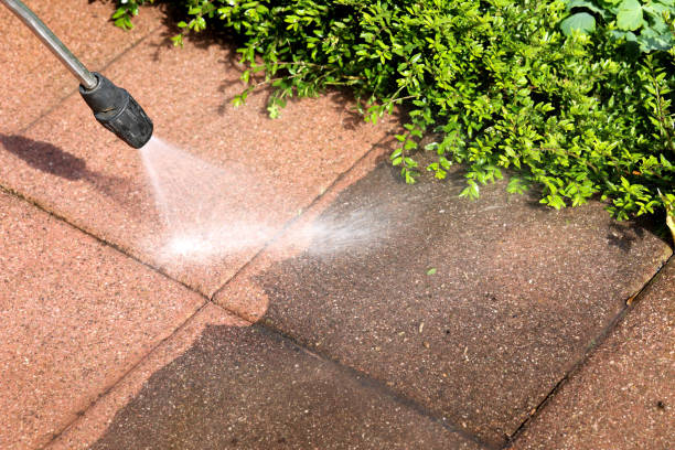 Best House Pressure Washing  in Spring Hill, TN
